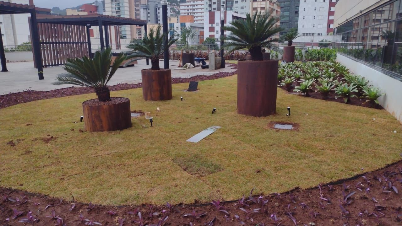 Vaso de Aço Corten 1 Vaso de aço corten cilíndrico sob medida com plantas ornamentais em projeto de paisagismo de jardim e área externa.
